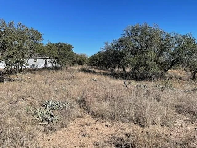a view of a dry yard with trees