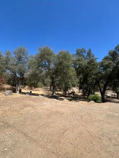 50294 Chuckwagon Road Yokuts Valley, CA 93675 - Photo 50 of 52 Gallery Image 50