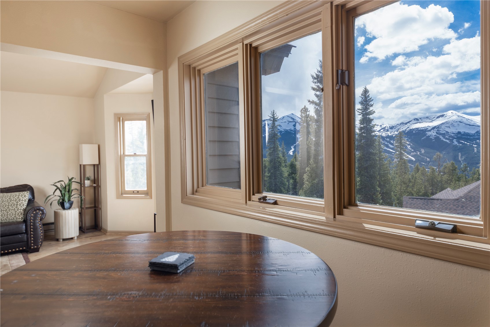 1120 Baldy Road, Unit 1120 Breckenridge, CO 80424 - Photo 17 of 38