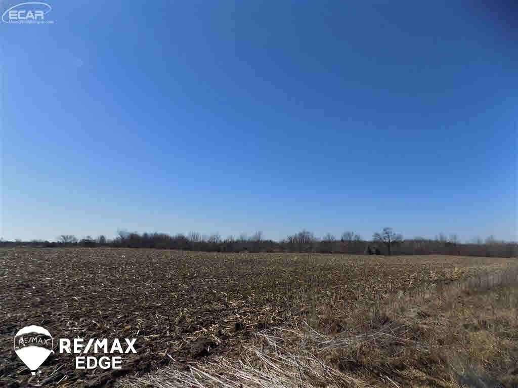3385 Barnes Road Millington, MI 48746 - Photo 16 of 37