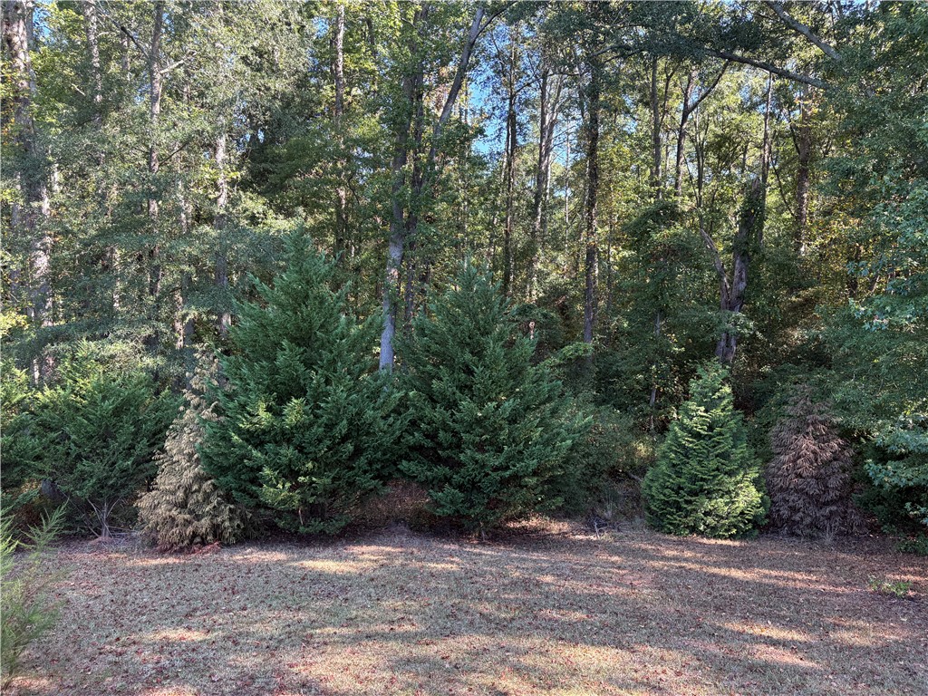 1108 Trotter Road Anderson, SC 29626 - Photo 20 of 27 Mature trees and evergreen plantings border a spacious grassy clearing.