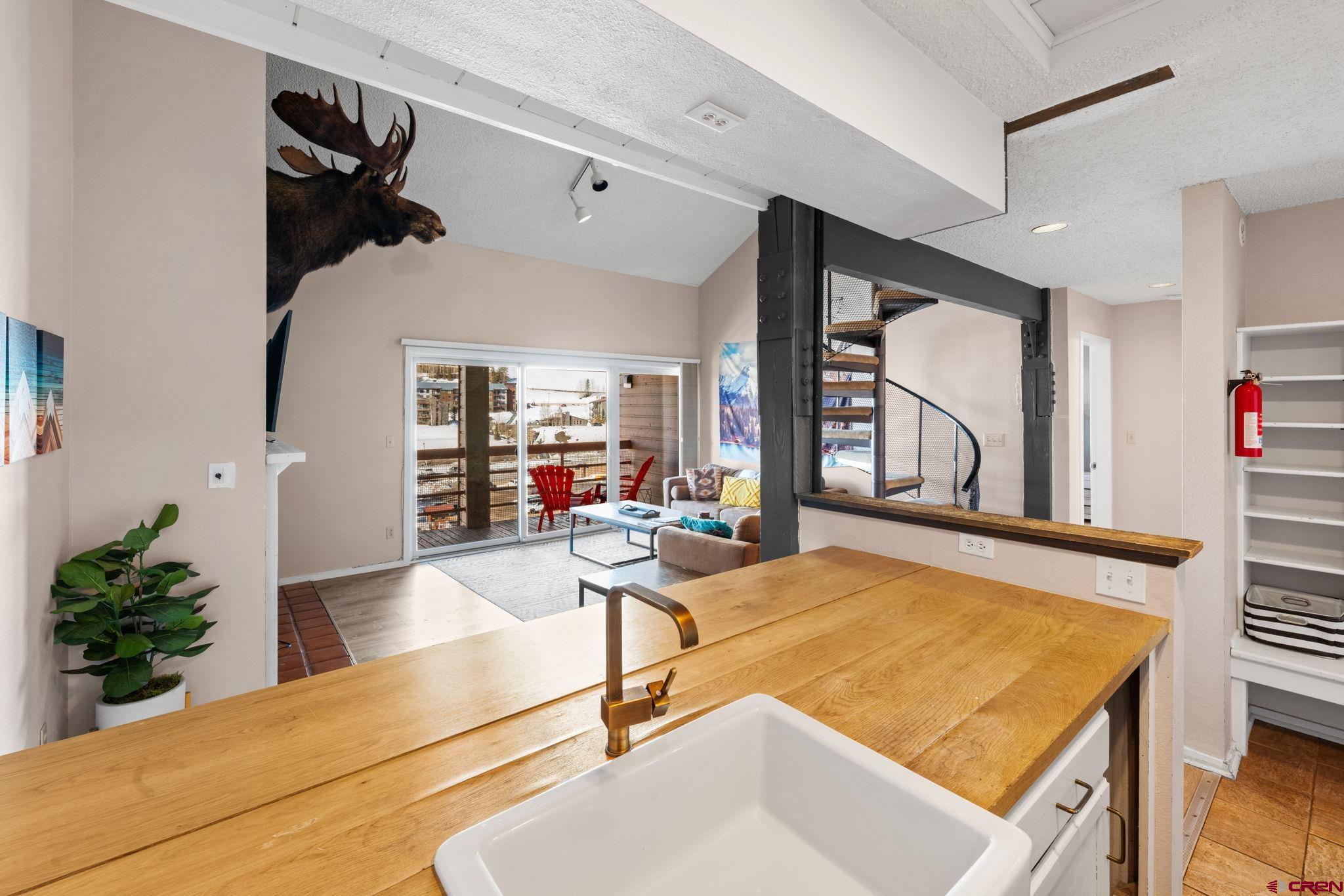 25 Emmons Road, Unit 45 Crested Butte, CO 81225 - Photo 9 of 42