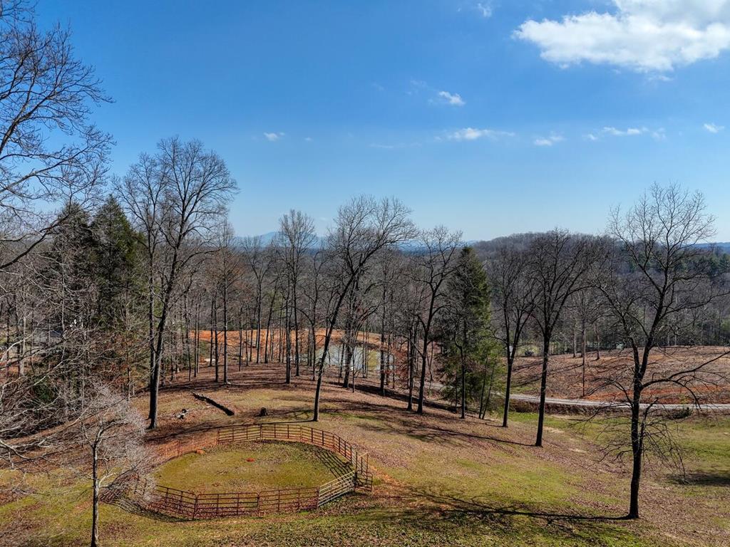 Lot C5 Briarwood Lane Blue Ridge, GA 30513 - Photo 1 of 9 Main View