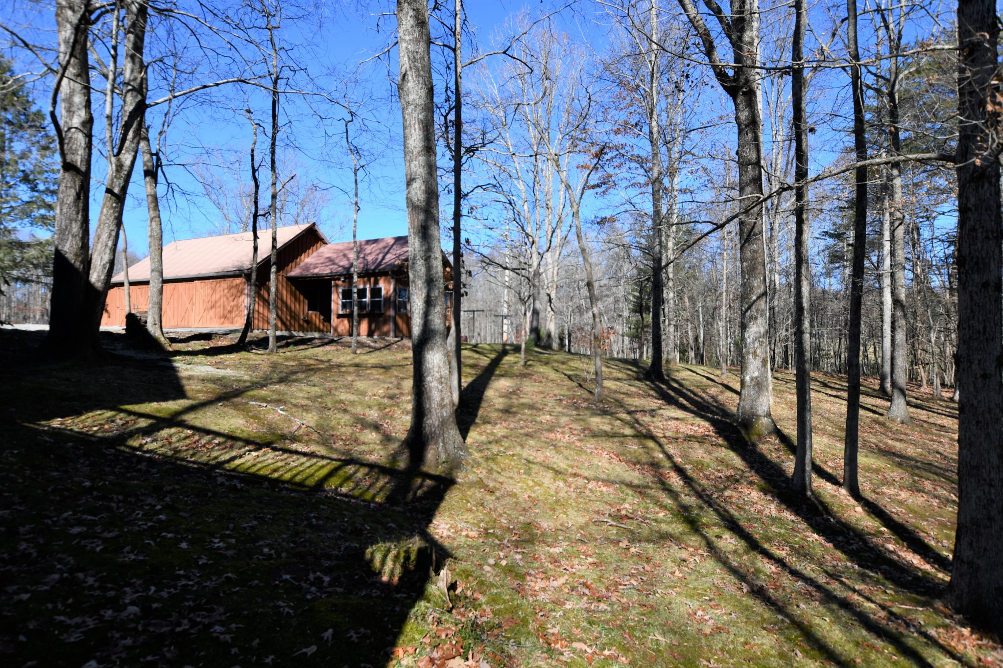 Gallery Image 6