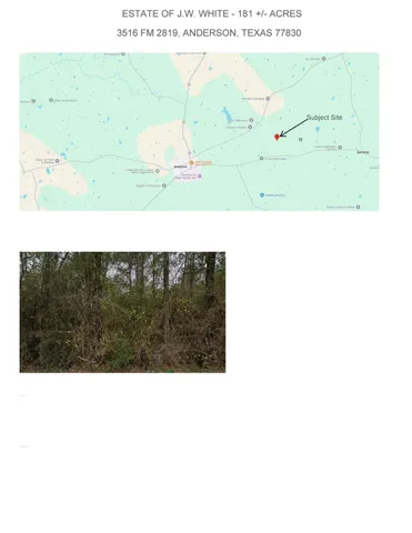 $2,900,000 | 3516 Farm To Market 2819, Anderson, TX 77830