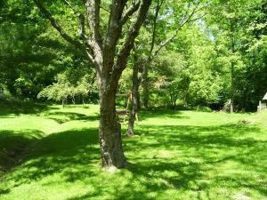 579 Frank Dumond Road Mitchell, IN 47446 - Photo 10 of 10