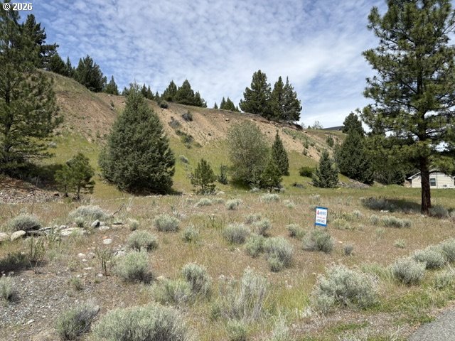 Elkview Canyon City, OR 97820 - Photo 8 of 9 a view of a yard with trees in the background