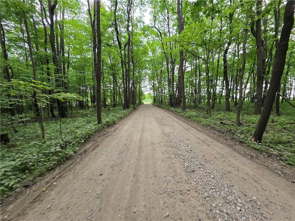 0 Silvis Road Homer City, PA 15748 - Photo 1 of 13