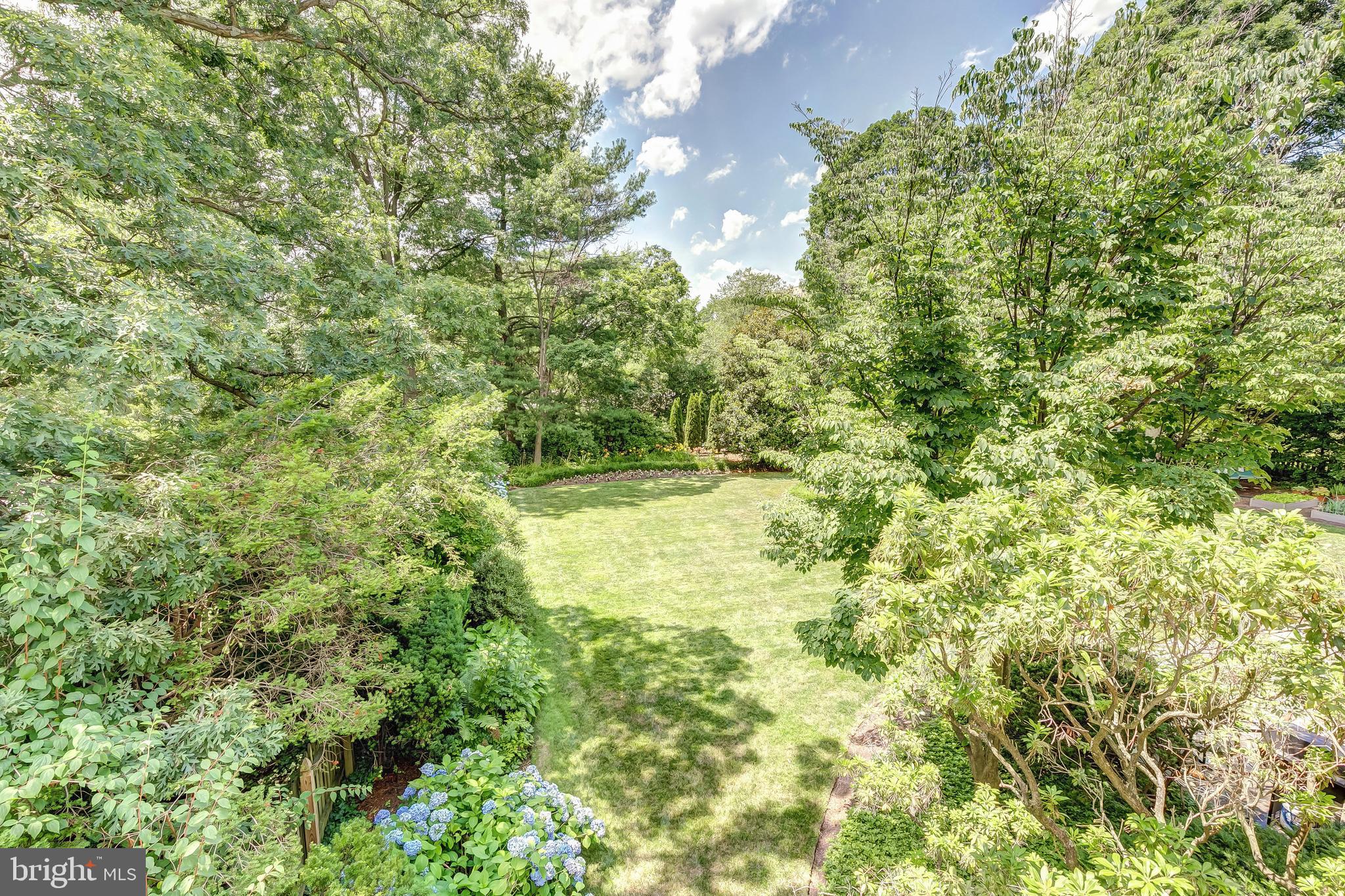 100 Upnor Road Baltimore, MD 21212 - Photo 33 of 38 Garden