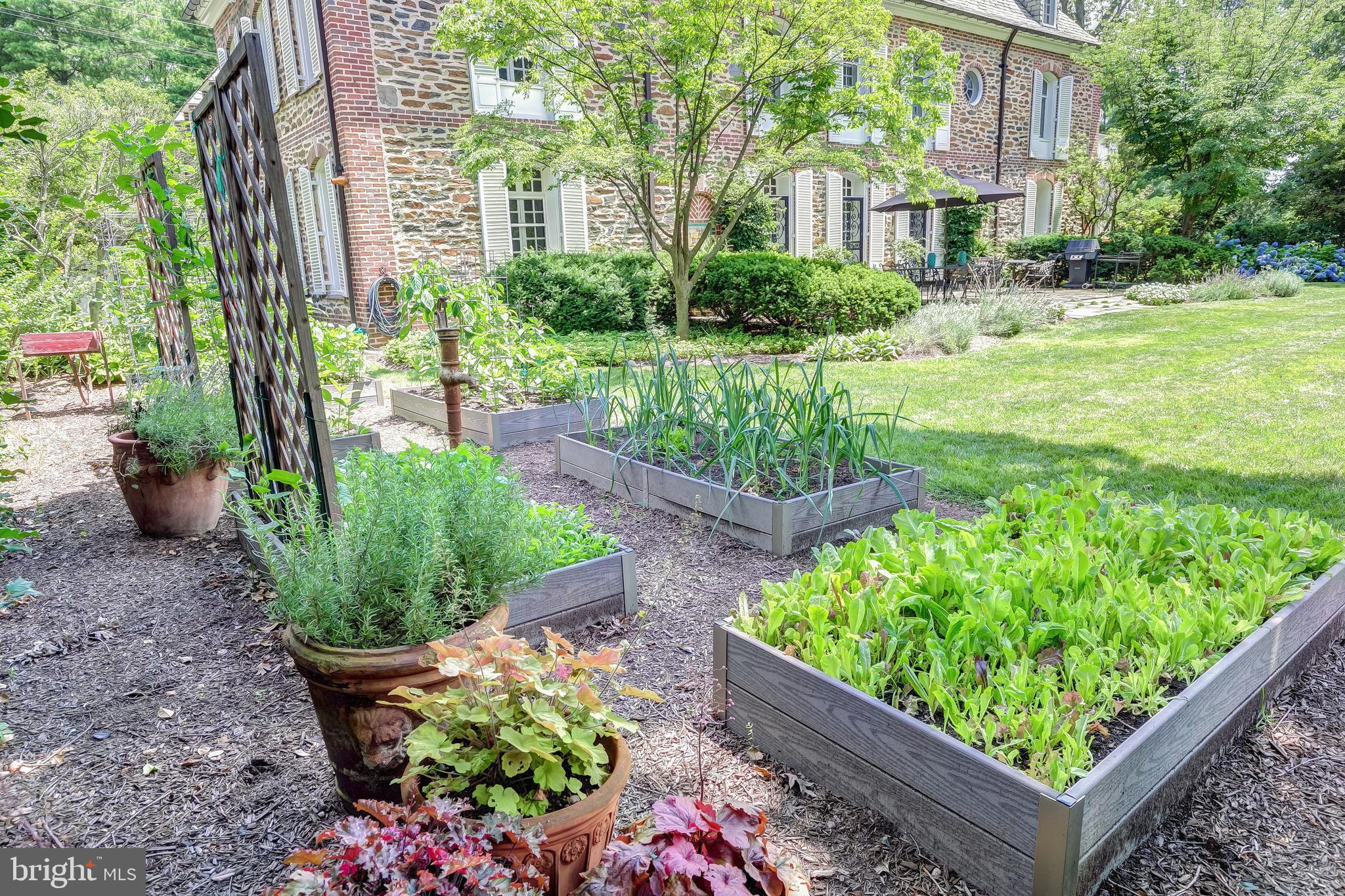 100 Upnor Road Baltimore, MD 21212 - Photo 36 of 38 Herb/Vegetable Garden