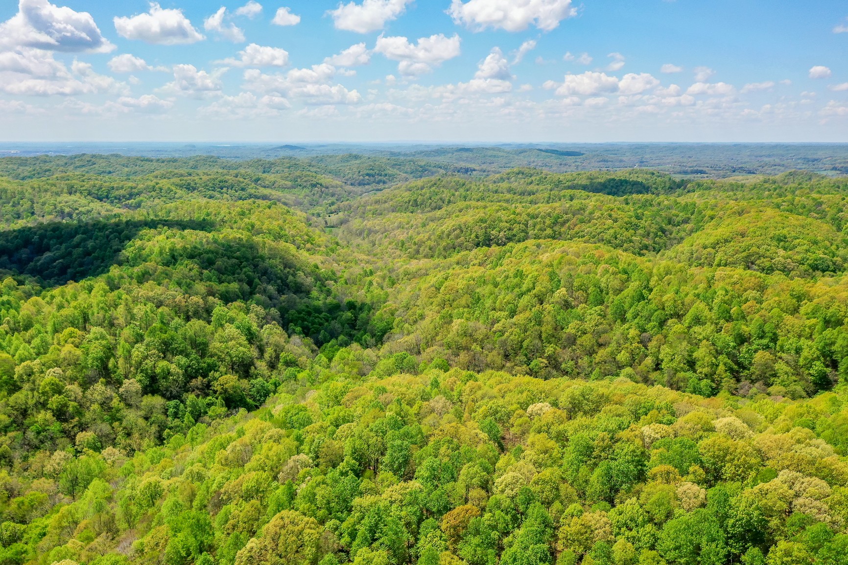 205 Hollis Chapel Road Portland, TN 37148 - Photo 44 of 44
