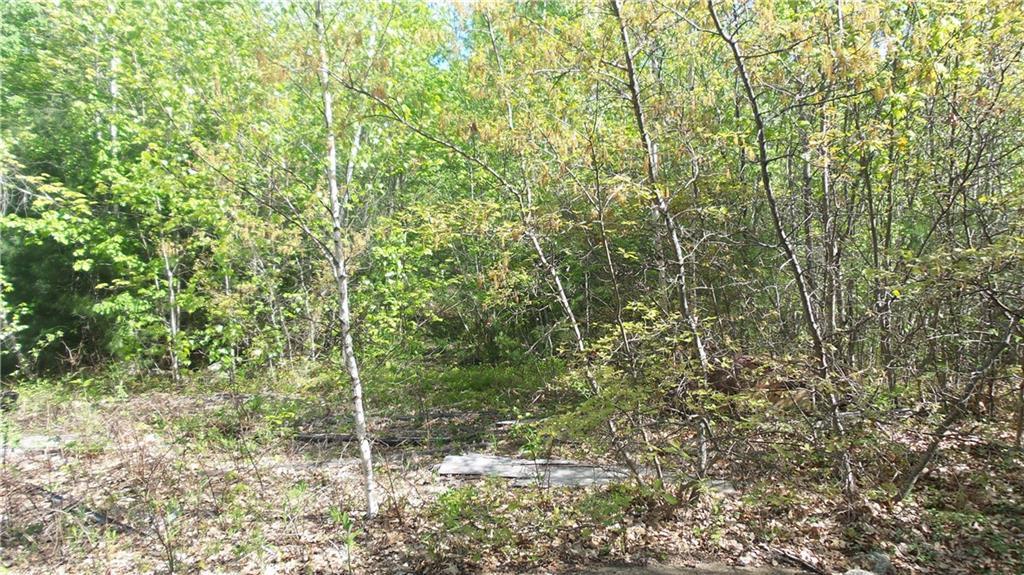 Lot 23-1 South Effingham Road Newfield, ME 04095 - Photo 11 of 13 Photo