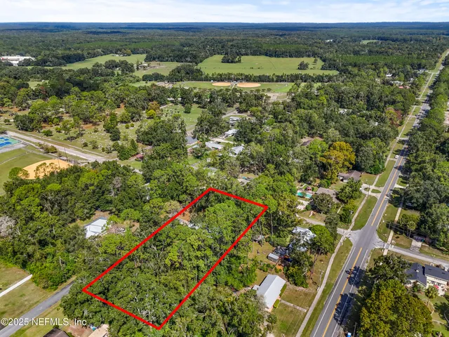 a plant that is in a garden