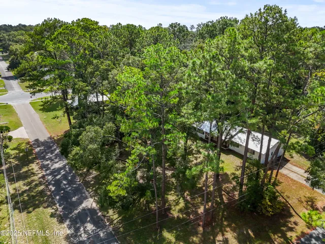 a view of a house with a large tree and a yard
