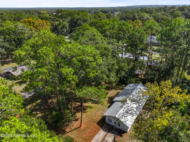 a view of a yard with a tree