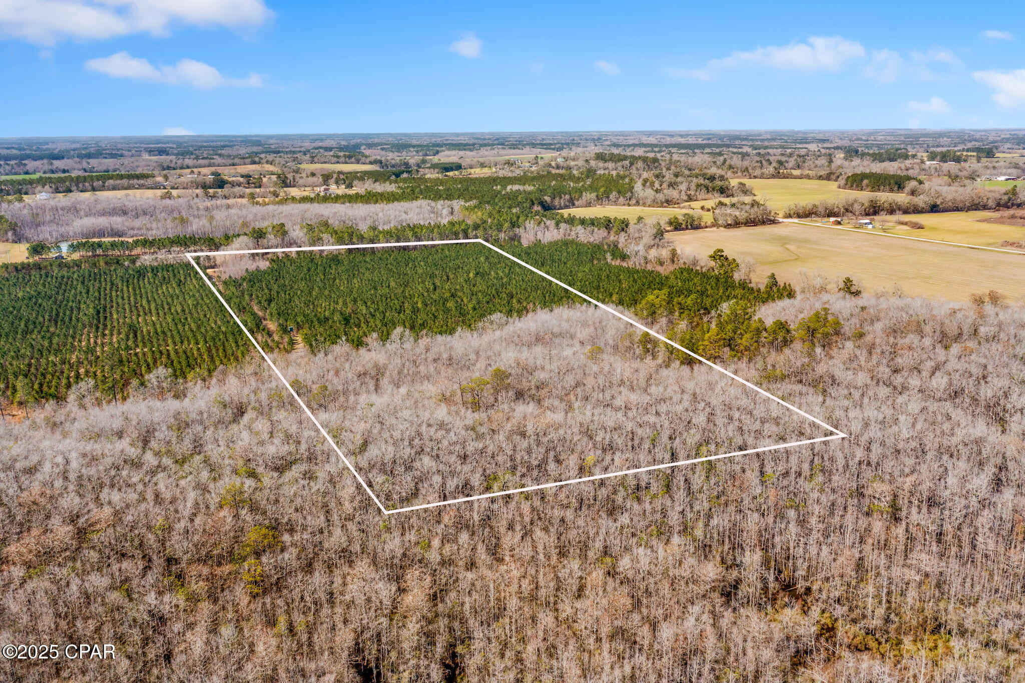 Lot 2 New Prospect Road Chipley, FL 32428 - Photo 7 of 26