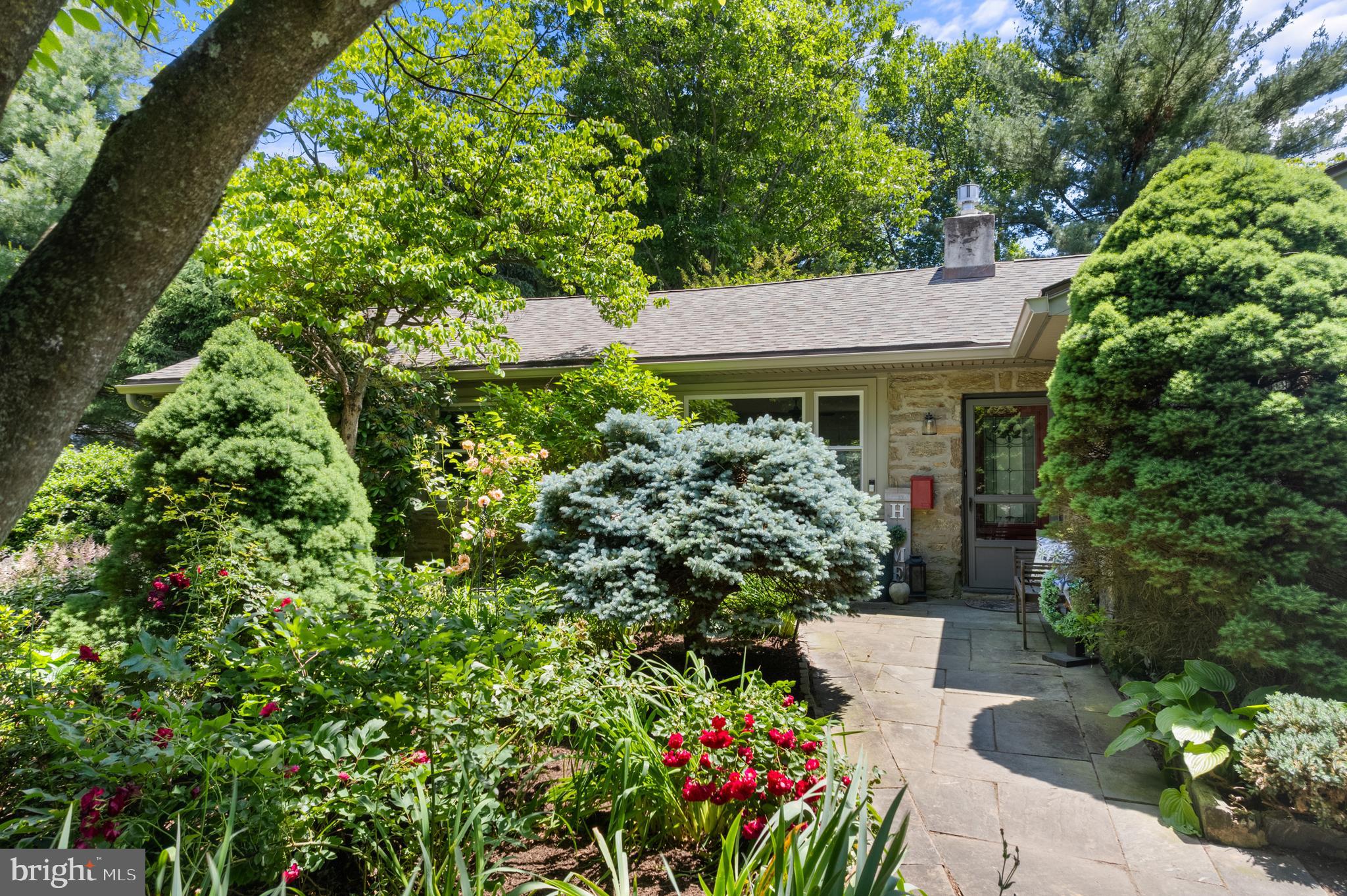 502 Paper Mill Road Oreland, PA 19075 - Photo 2 of 45 Stunning gardens and path to front door.