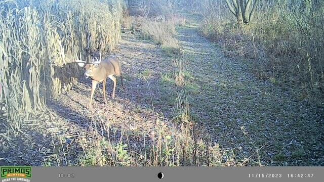 5954 Mohawk Road Wayne, WI 53002 - Photo 34 of 37 Attachment (1)