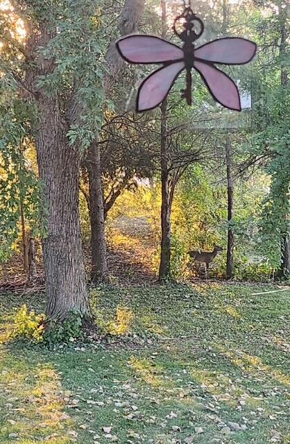 5954 Mohawk Road Wayne, WI 53002 - Photo 35 of 37 Attachment (2)