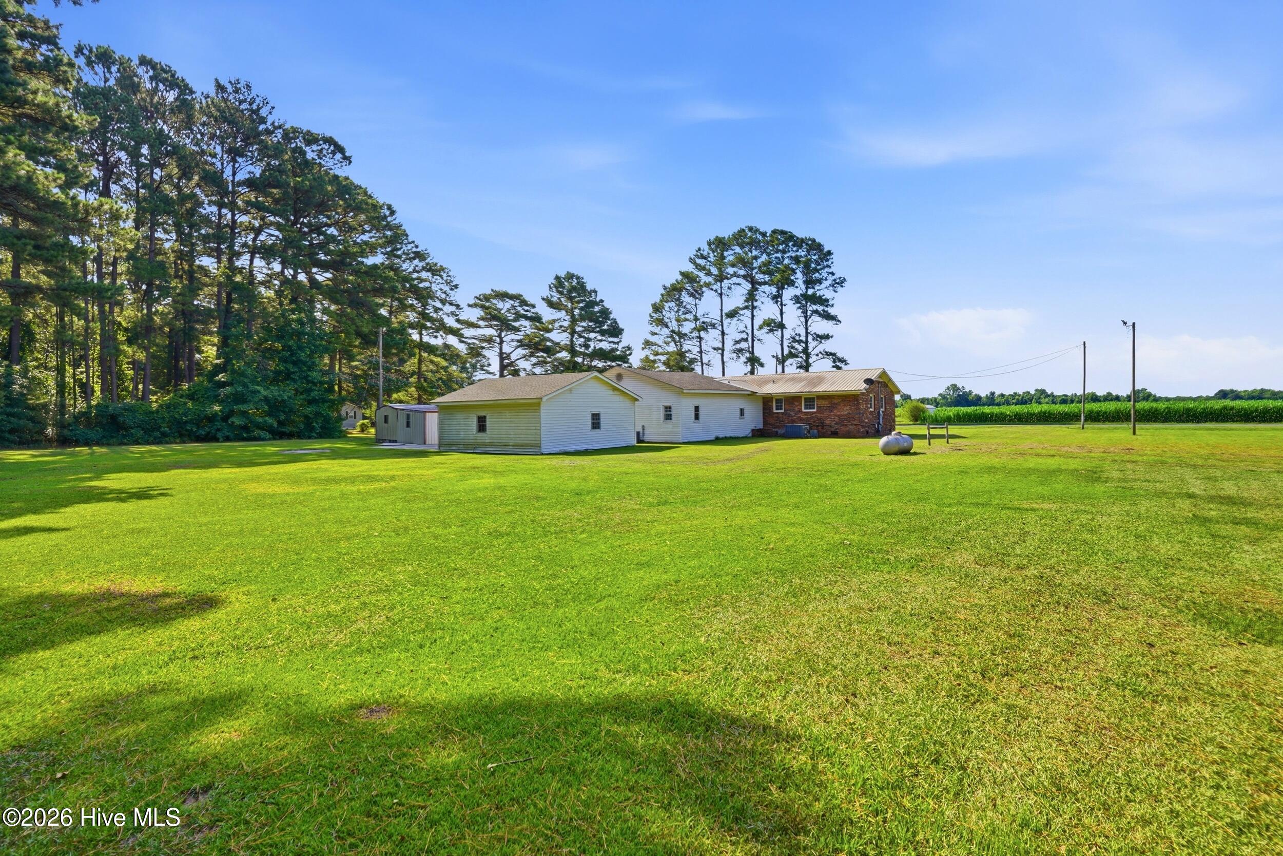 454 Buckhorn Road Willard, NC 28478 - Photo 31 of 49