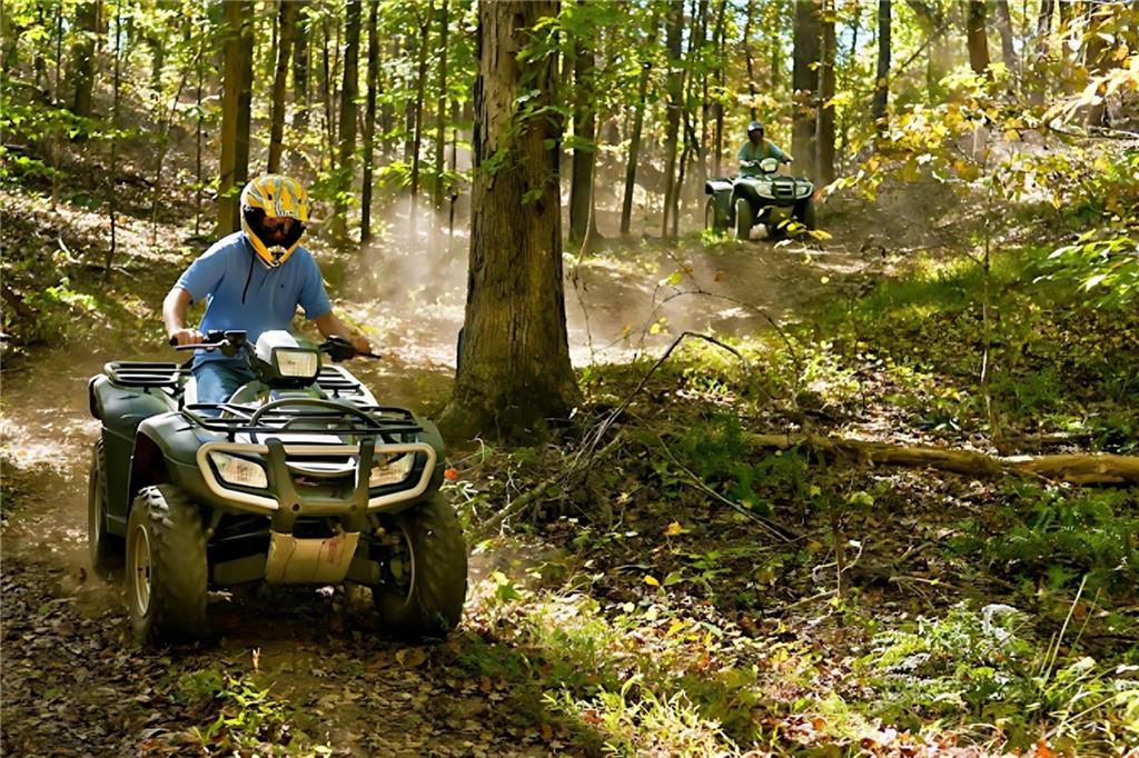 6051 Stallion Ridge Douglasville, GA 30135 - Photo 50 of 57