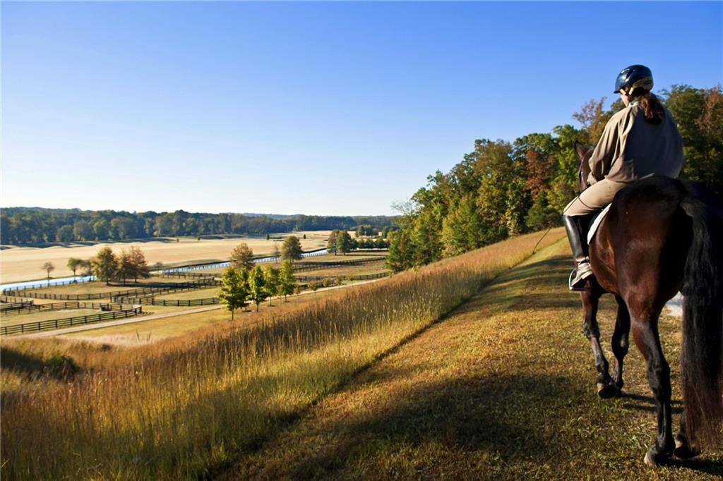 6051 Stallion Ridge Douglasville, GA 30135 - Photo 51 of 64