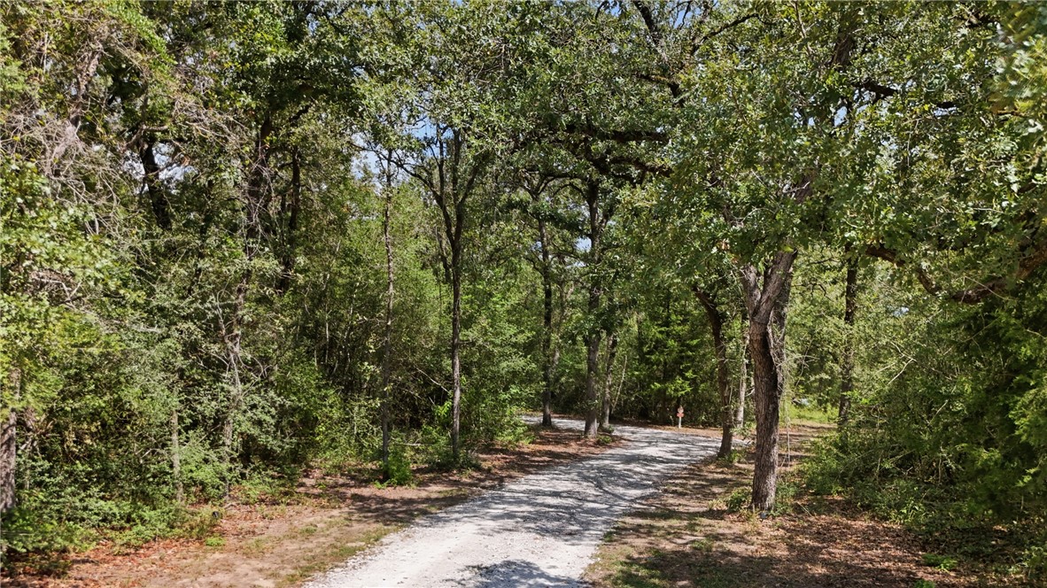 1629 Sawmill Road Franklin, TX 77856 - Photo 44 of 50 Gallery Image 44