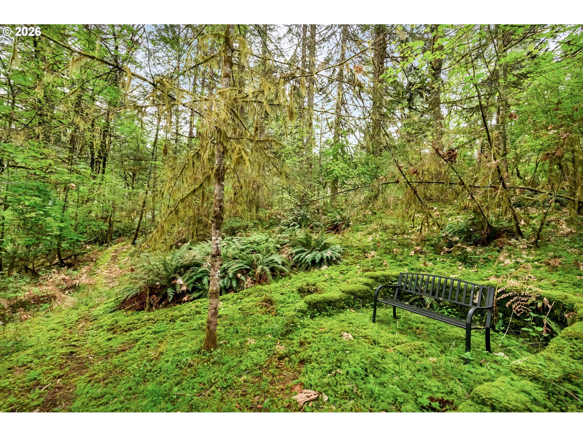 89879 Sheffler Road Elmira, OR 97437 - Photo 3 of 43