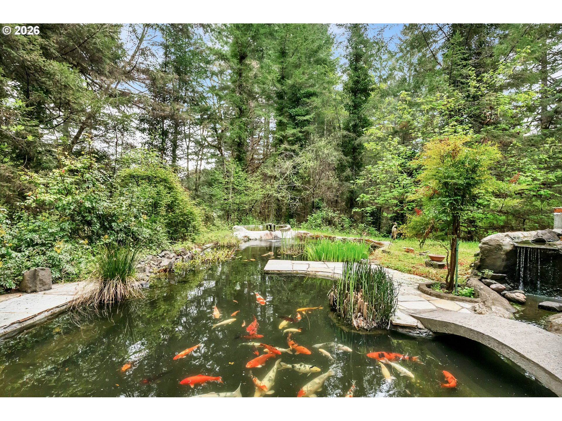 89879 Sheffler Road Elmira, OR 97437 - Photo 33 of 43 Pond