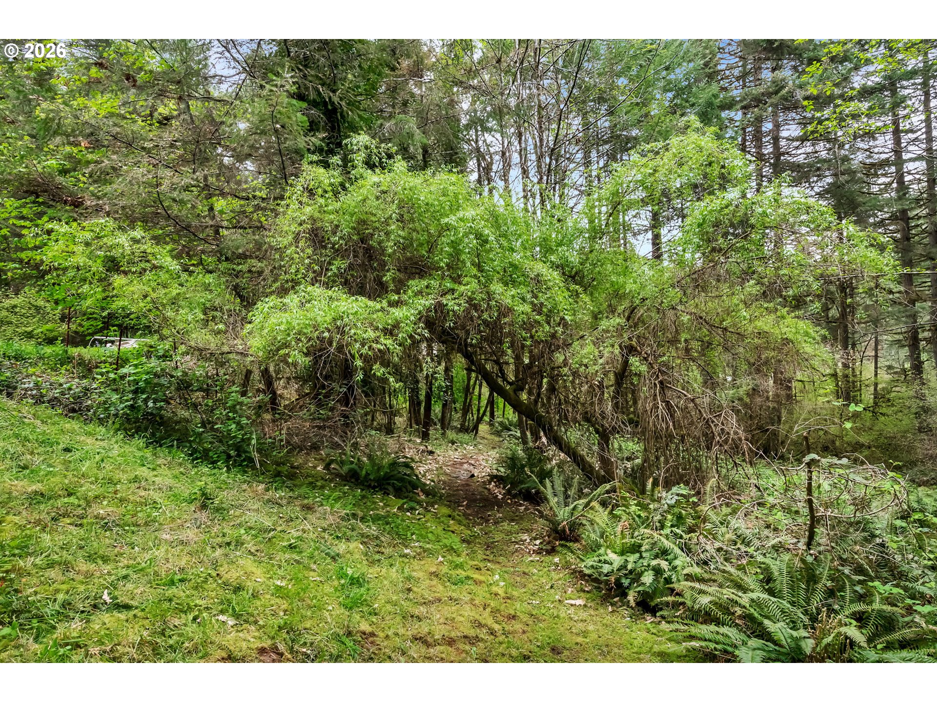 89879 Sheffler Road Elmira, OR 97437 - Photo 34 of 43