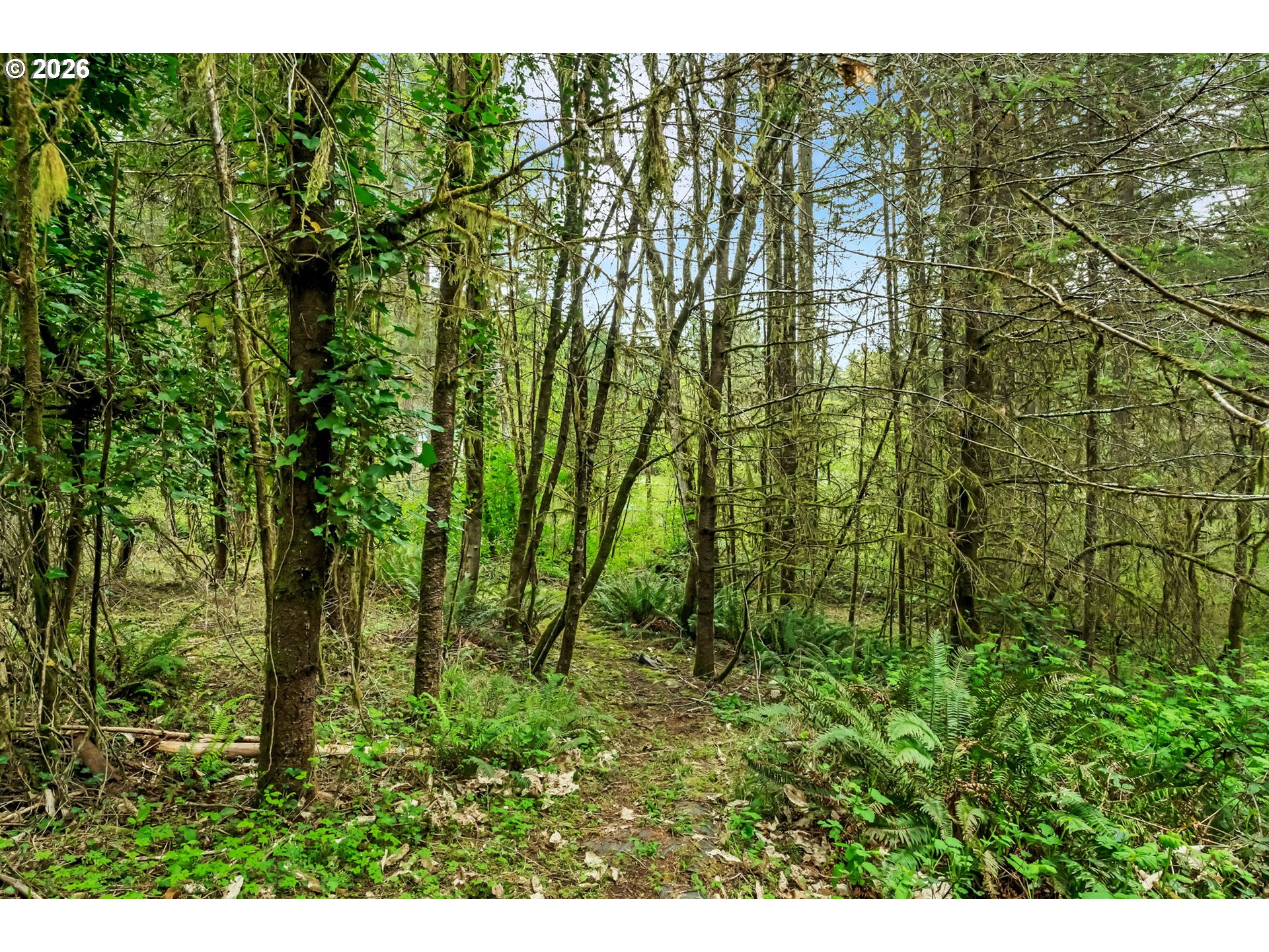 89879 Sheffler Road Elmira, OR 97437 - Photo 35 of 43 Acreage