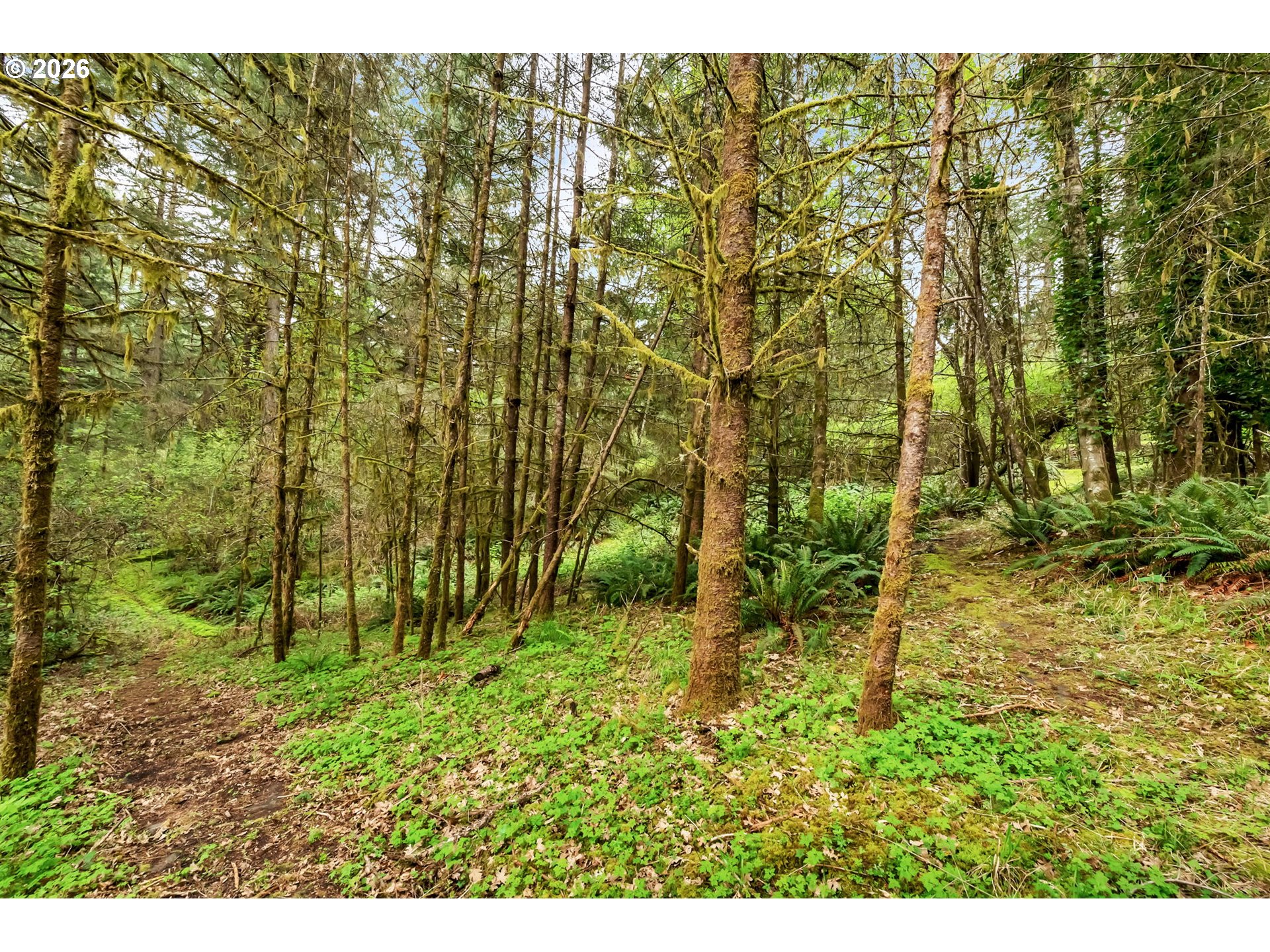 89879 Sheffler Road Elmira, OR 97437 - Photo 36 of 43