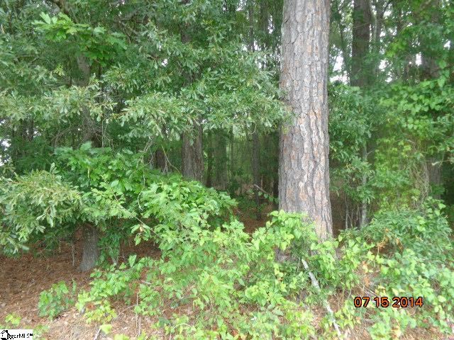 710 Doris McGill Road Anderson, SC 29624 - Photo 13 of 16