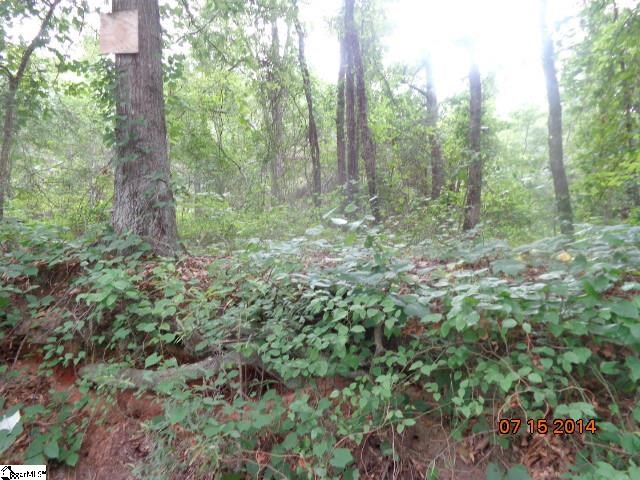 710 Doris McGill Road Anderson, SC 29624 - Photo 15 of 16