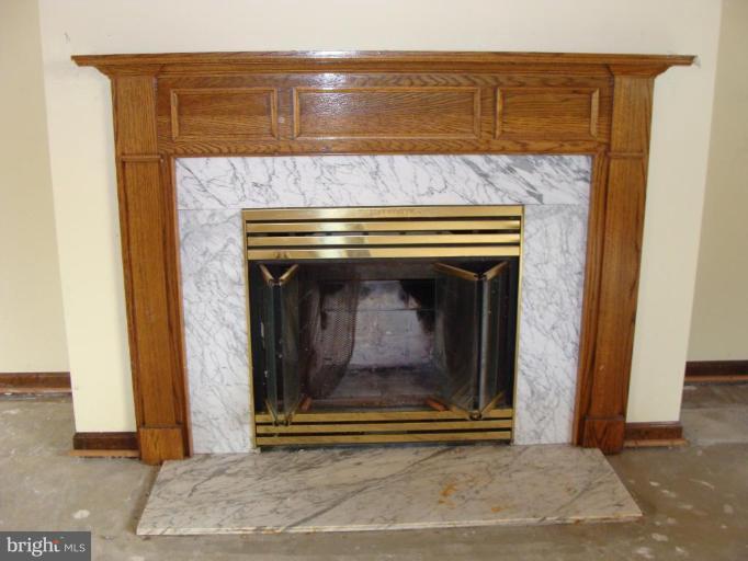 7862 WB&A Road Severn, MD 21144 - Photo 3 of 22 Fireplace