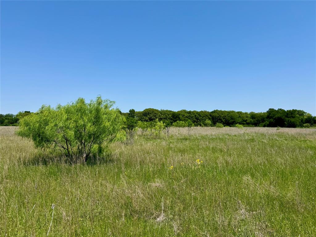 0 Clater Powell Road, Unit LOT 7 Waco, TX 76705 - Photo 2 of 7