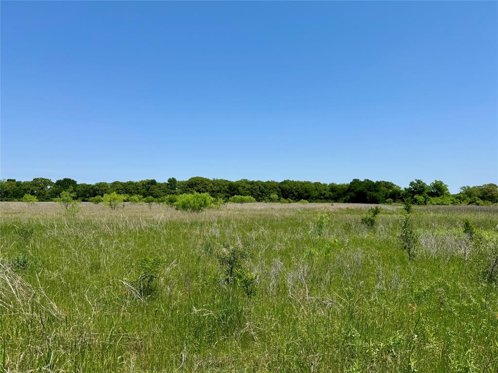 0 Clater Powell Road, Unit LOT 7 Waco, TX 76705 - Photo 3 of 7