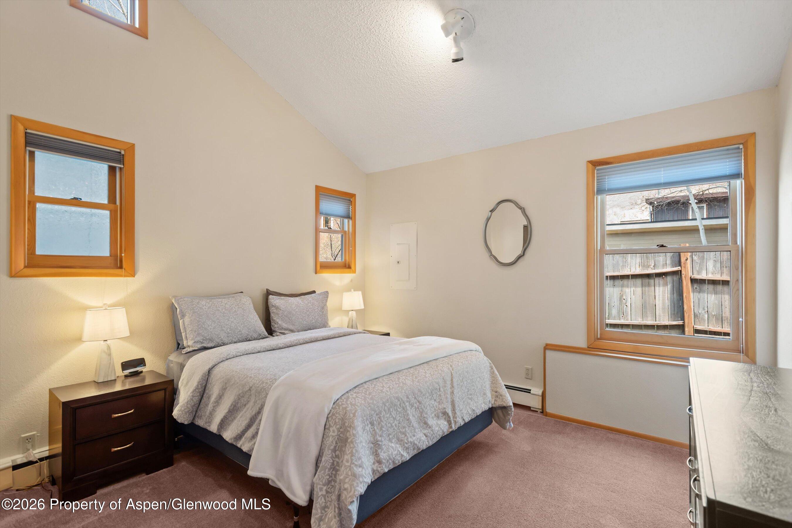 53 Spruce Street, Unit S 1 AND 2 Aspen, CO 81611 - Photo 48 of 67 19-19-536SpruceSt_250429019