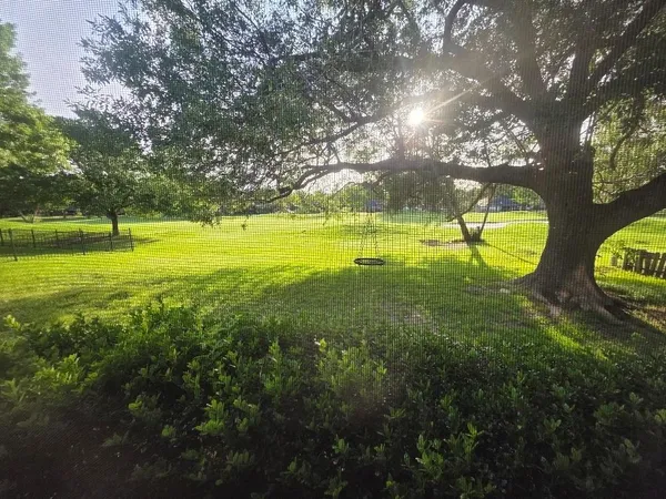 a view of an trees with a yard