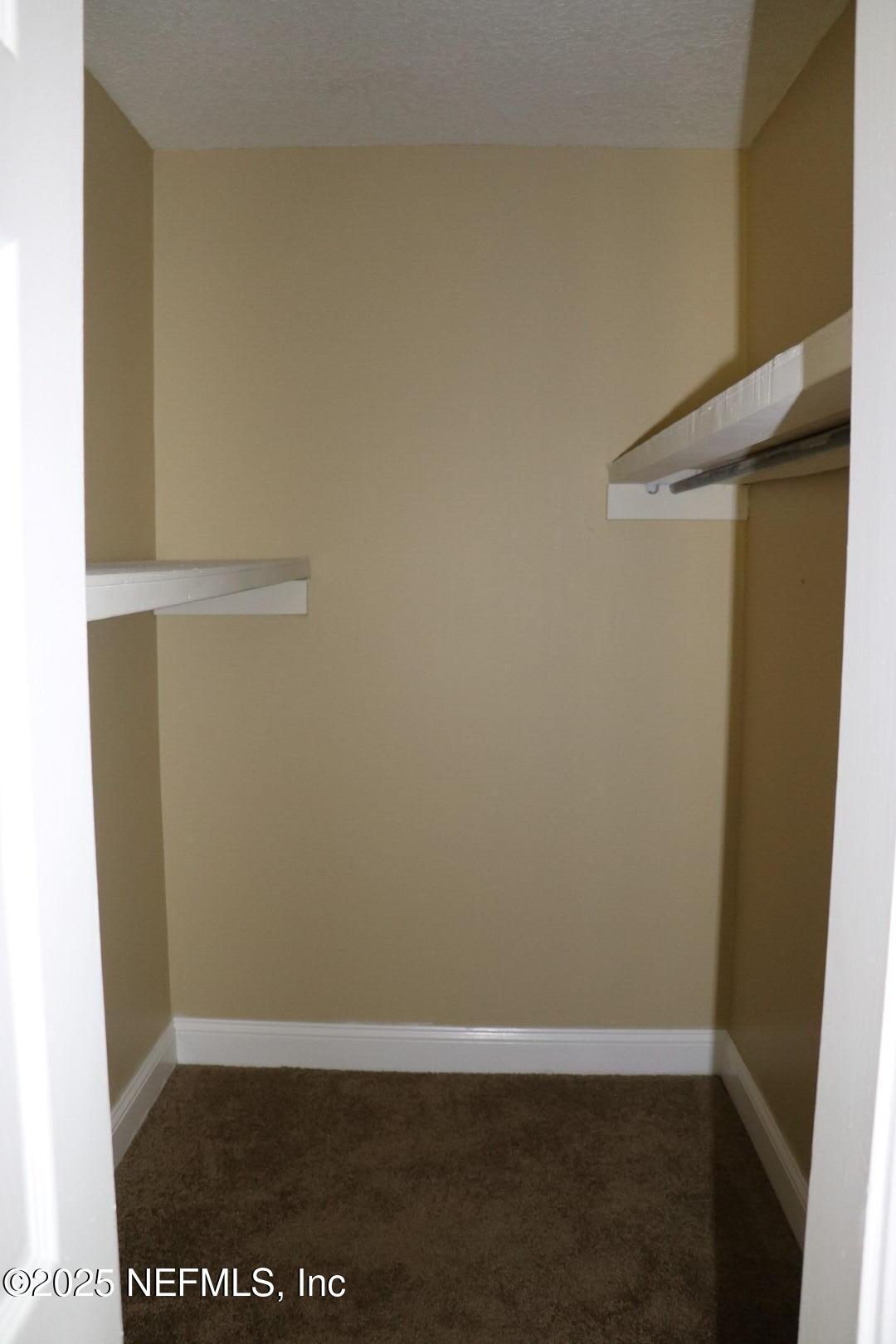 1223 Hatcher Road Middleburg, FL 32068 - Photo 23 of 50 Bedroom Closet