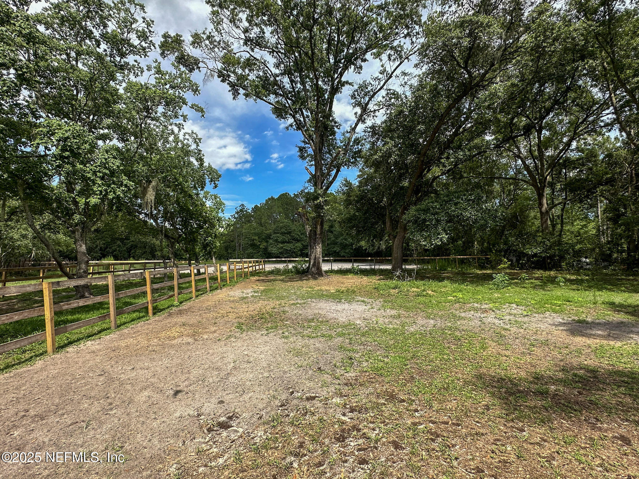 1223 Hatcher Road Middleburg, FL 32068 - Photo 47 of 50 Fenced Area for Horses