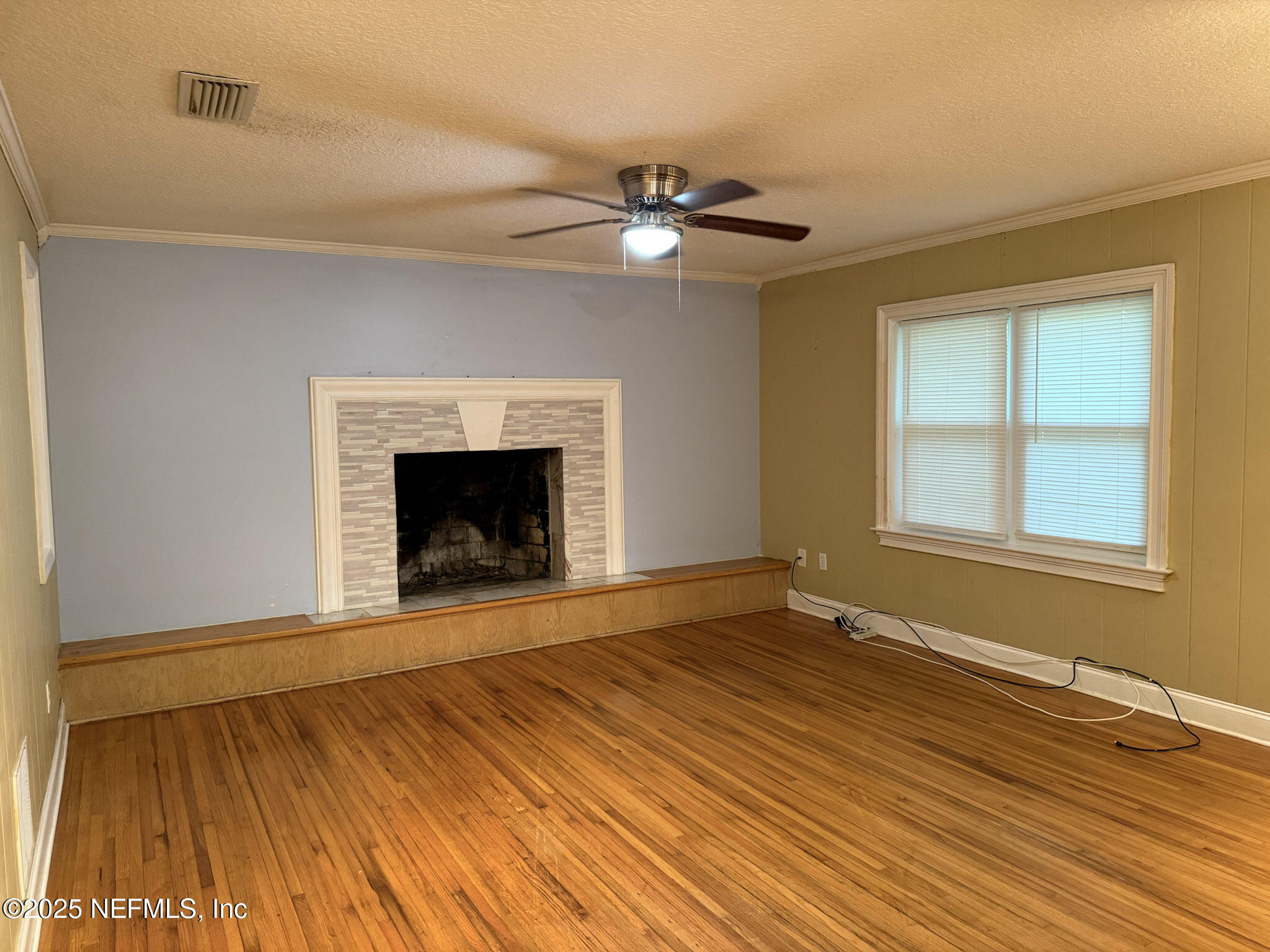 1223 Hatcher Road Middleburg, FL 32068 - Photo 5 of 50 Living Room