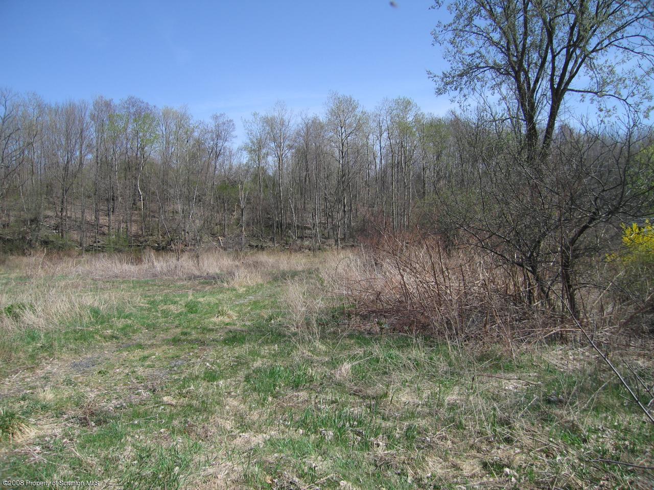 Poor Farm Road Carbondale, PA 18407 - Photo 4 of 9 front