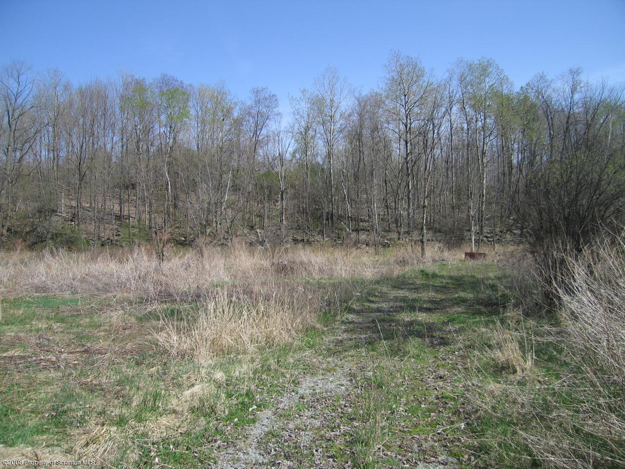 Poor Farm Road Carbondale, PA 18407 - Photo 6 of 9 front