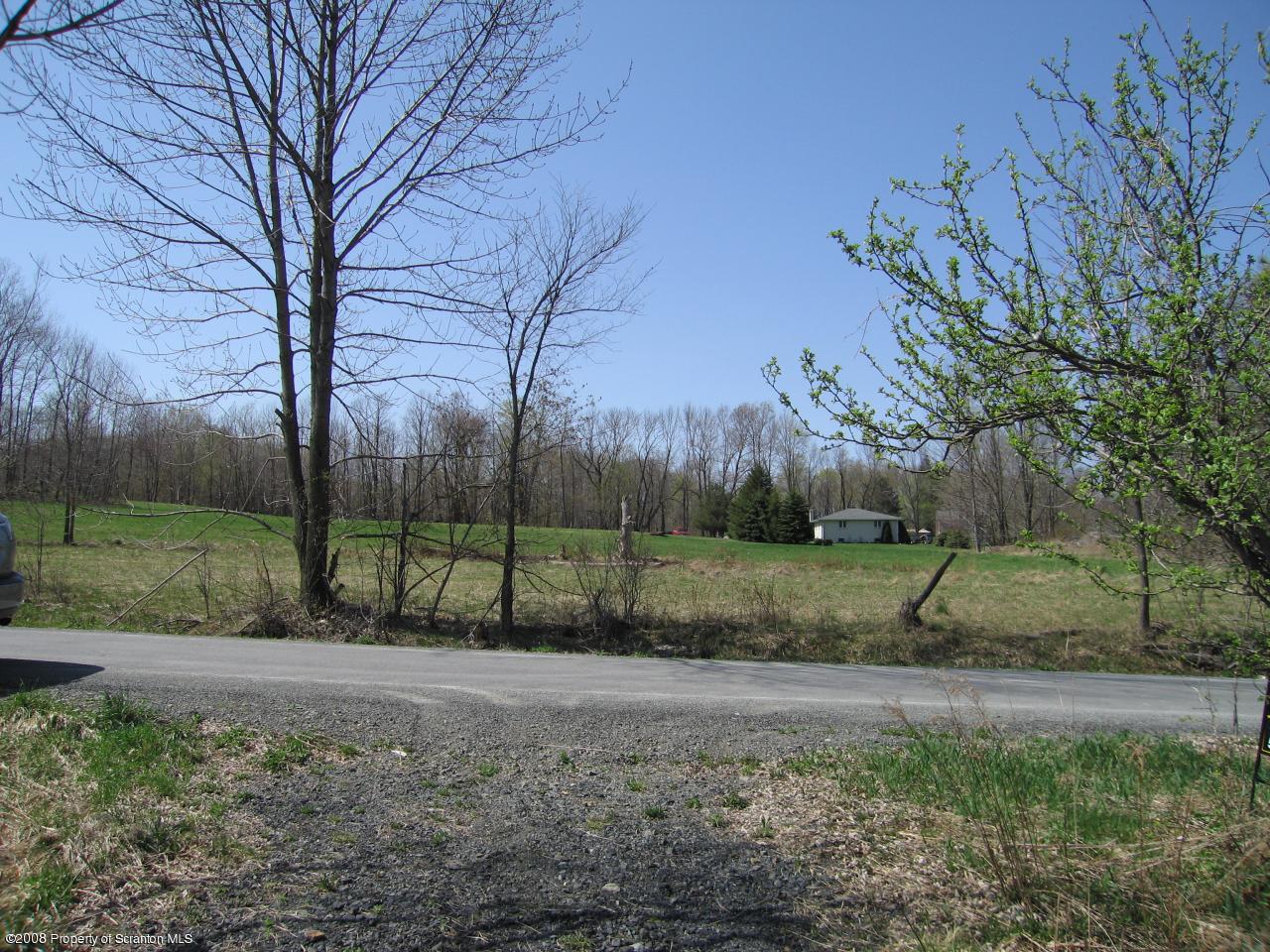 Poor Farm Road Carbondale, PA 18407 - Photo 8 of 9 view across the street