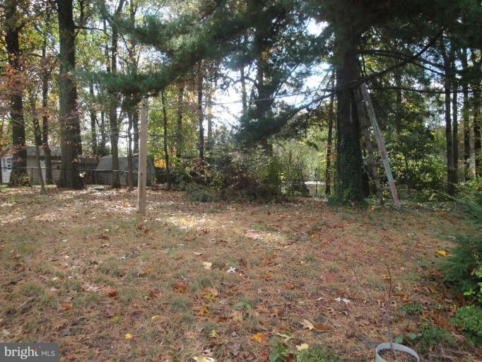 7709 Jervis Street Springfield, VA 22151 - Photo 3 of 6 Back yard