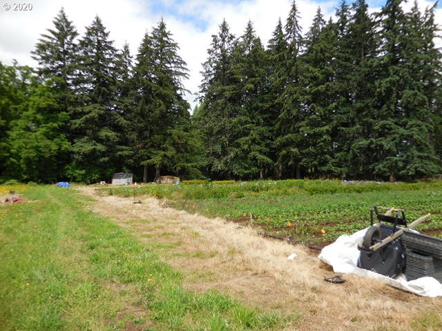 17993 South Strowbridge Road Oregon City, OR 97045 - Photo 23 of 31