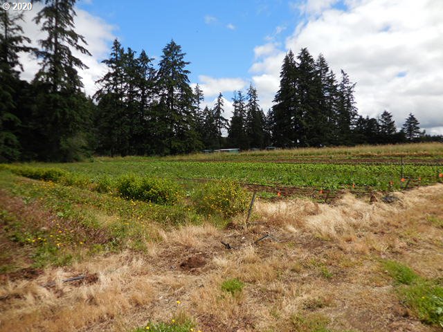 17993 South Strowbridge Road Oregon City, OR 97045 - Photo 24 of 31