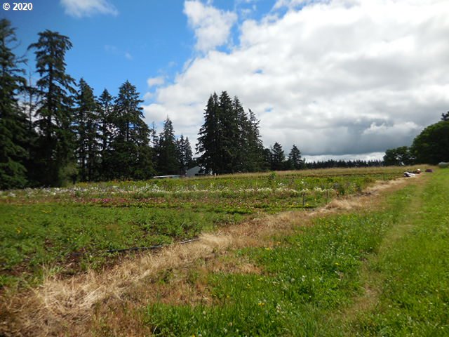 17993 South Strowbridge Road Oregon City, OR 97045 - Photo 25 of 31