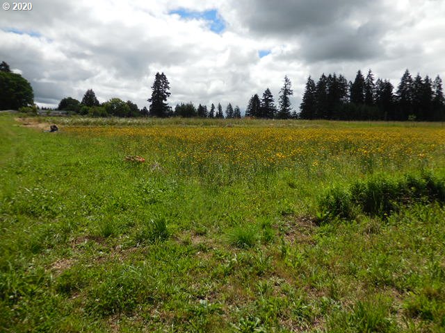 17993 South Strowbridge Road Oregon City, OR 97045 - Photo 26 of 31